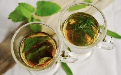 Green tea herb