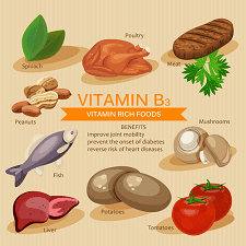 Vitamin B3 Foods
