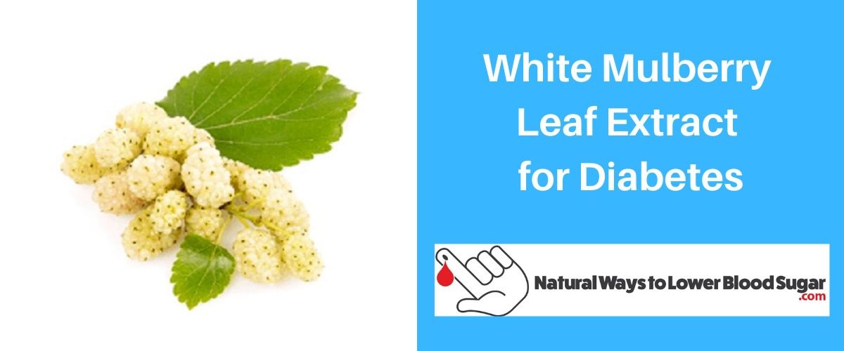 White Mulberry Leaf Extract for Diabetes