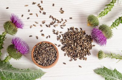 Milk Thistle Seeds and Flowers