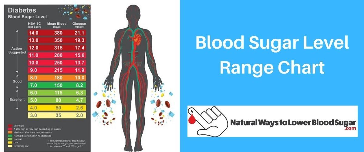 Blood Sugar Level Range Chart