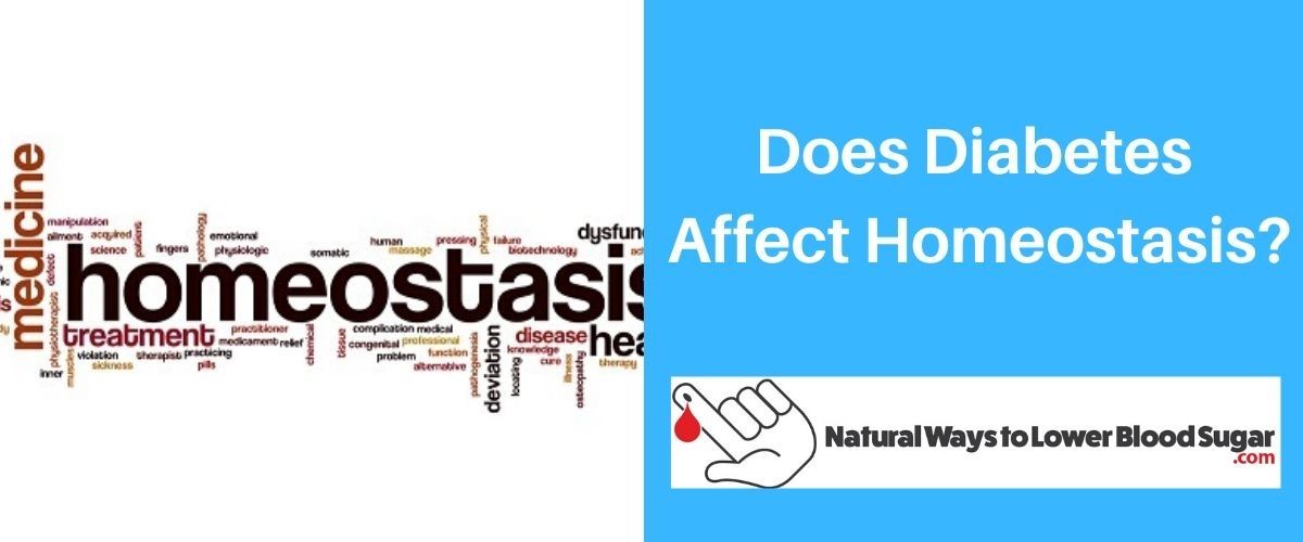 Does Diabetes Affect Homeostasis
