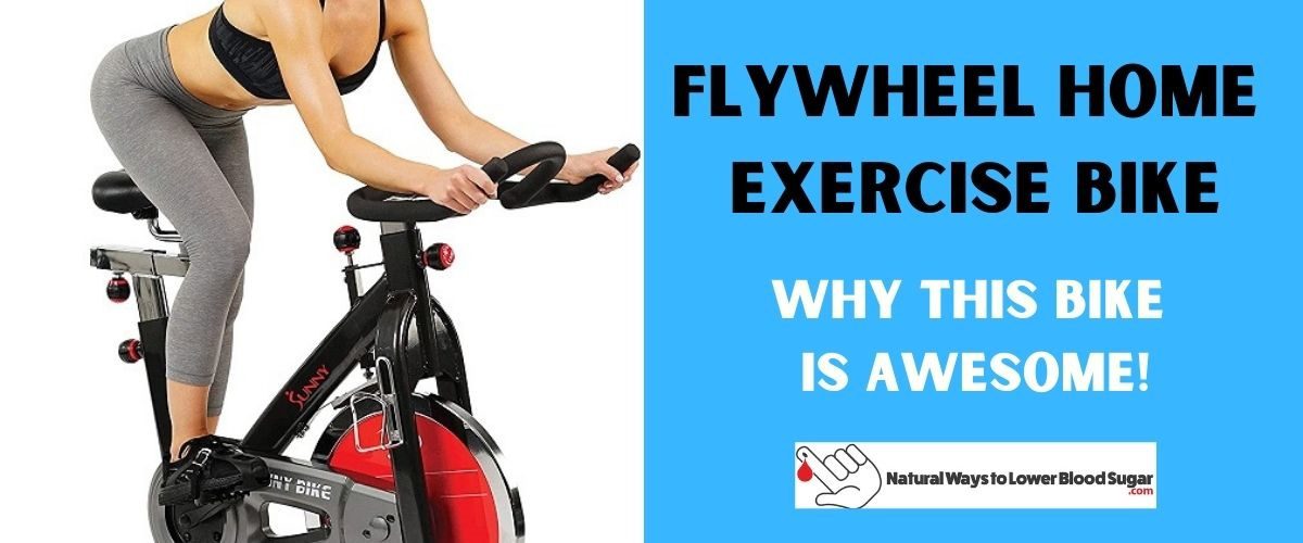 Flywheel Home Exercise Bike