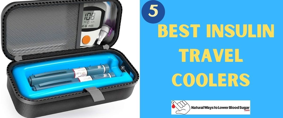 5 Best Insulin Travel Coolers